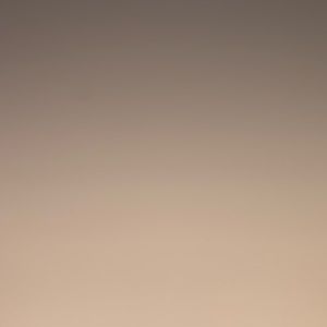 Meet your Posher, Bernardo